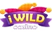 iWild caisno logo
